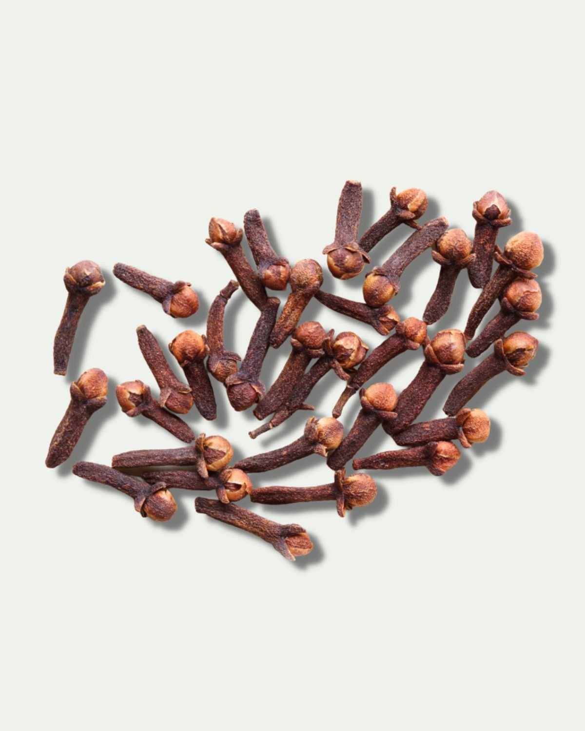 Clove Bud Essential Oil - Henna Sooq