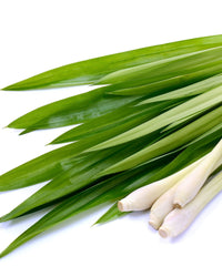 Thumbnail for Indian Lemongrass Essential Oil - Henna Sooq